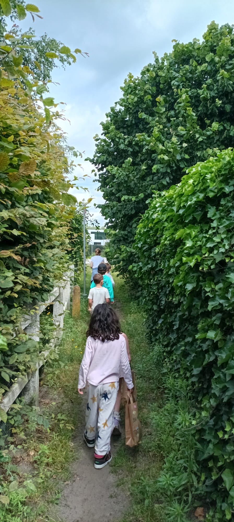 Kinderen ontdekken samen een groen pad in de natuur