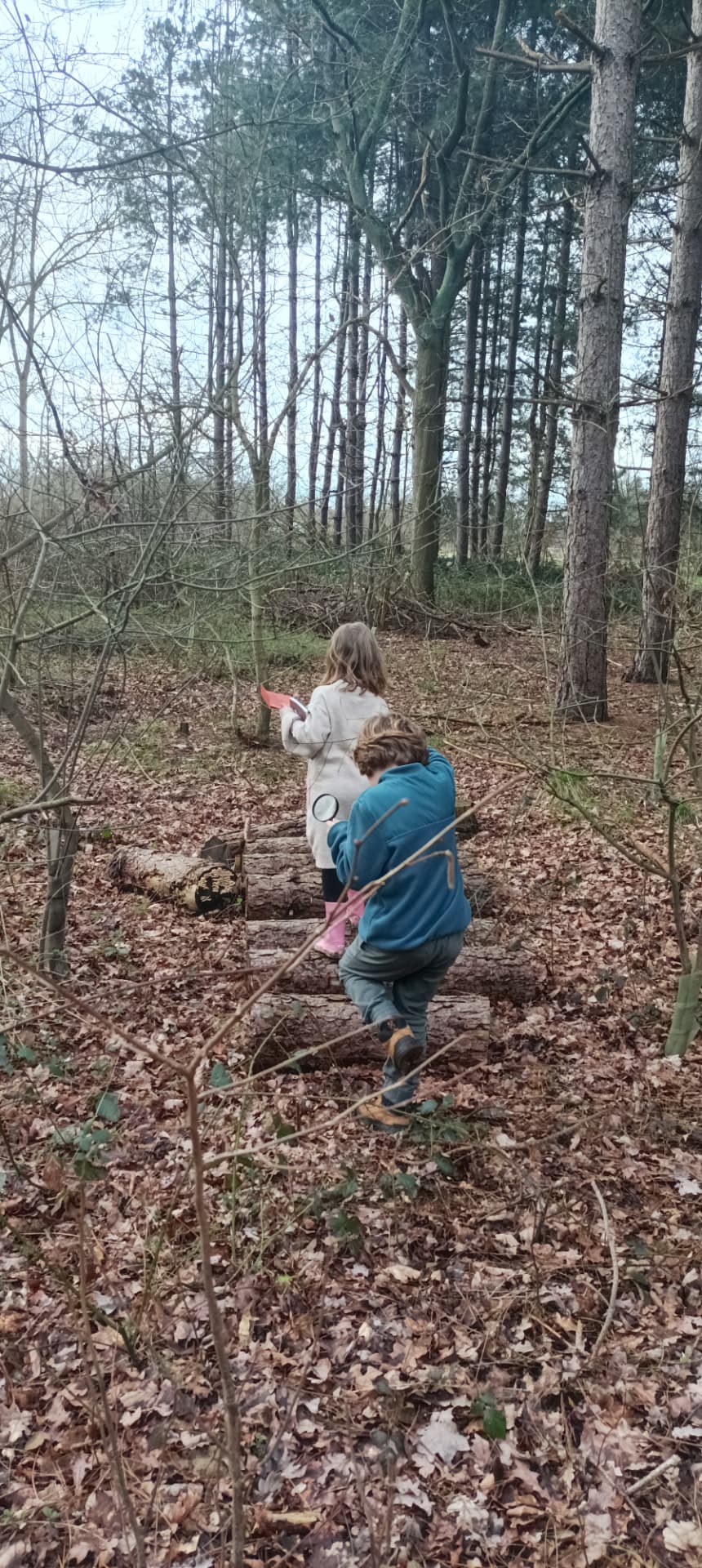 Twee kinderen die samen het bos verkennen